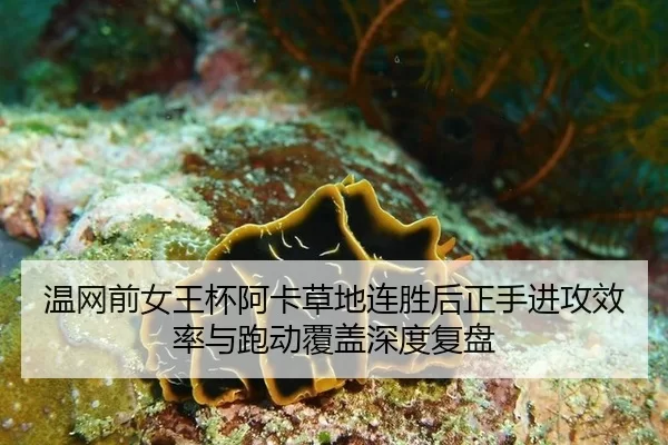 wen-wang-qian-nv-wang-bei-a-ka-cao-di-lian-sheng-hou-zheng-shou-jin-gong-xiao-lv-yu-pao-dong-fu-gai-shen-du-fu-pan-2-726.jpg
