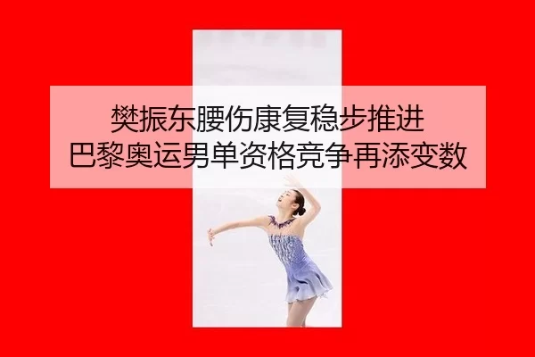 樊振东腰伤康复稳步推进 巴黎奥运男单资格竞争再添变数